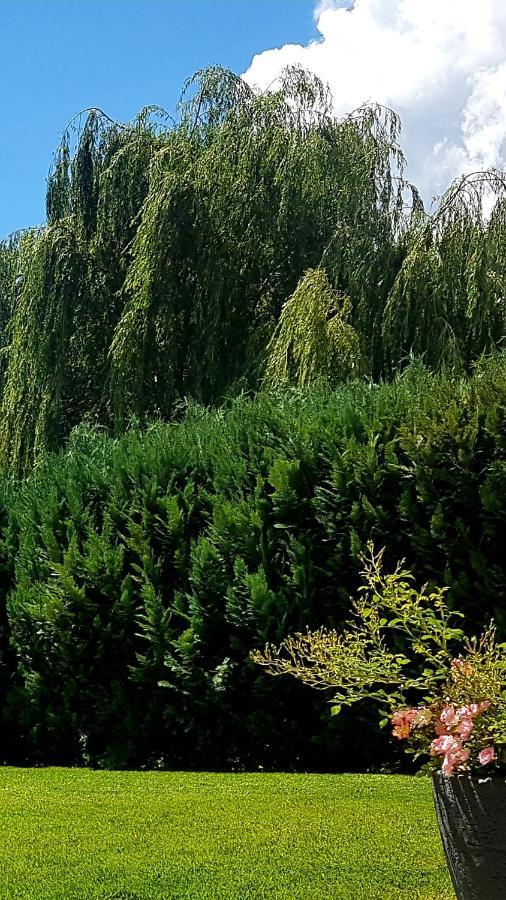 Alpen Apart Heiss Prutz Dış mekan fotoğraf